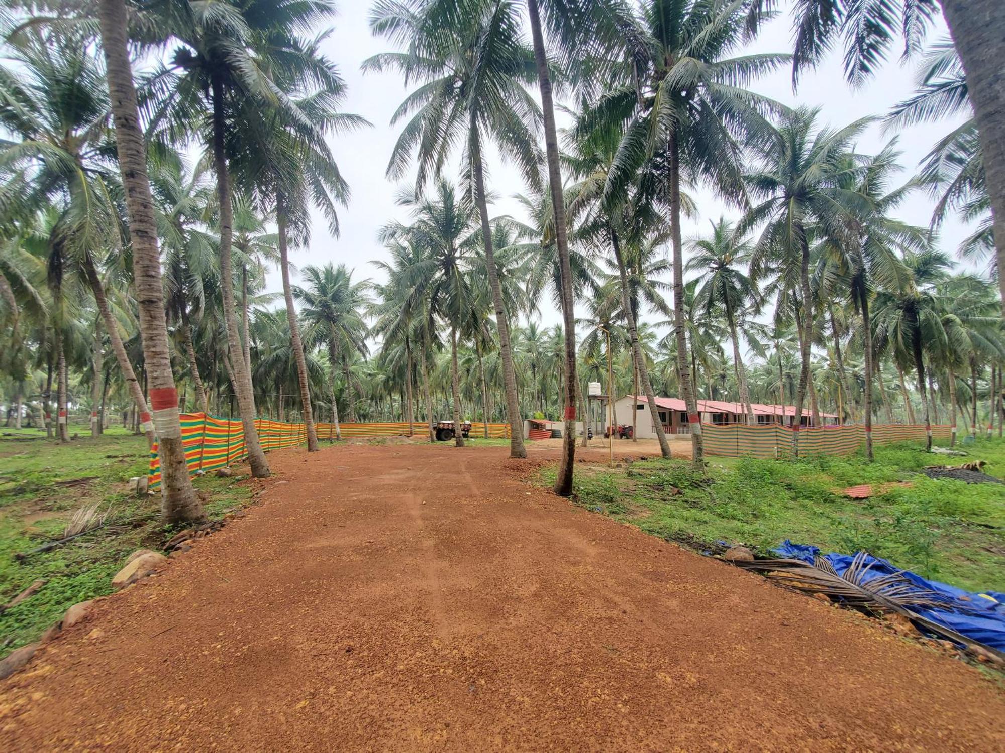 Coastline Beach Resort Perupalem Exterior foto